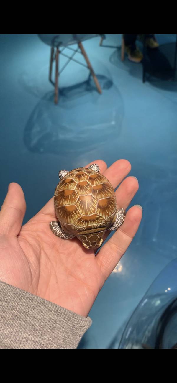 Laugh And Grow Fat Series - Ocean  Edition