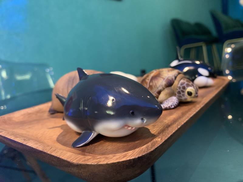 Laugh And Grow Fat Series - Ocean  Edition