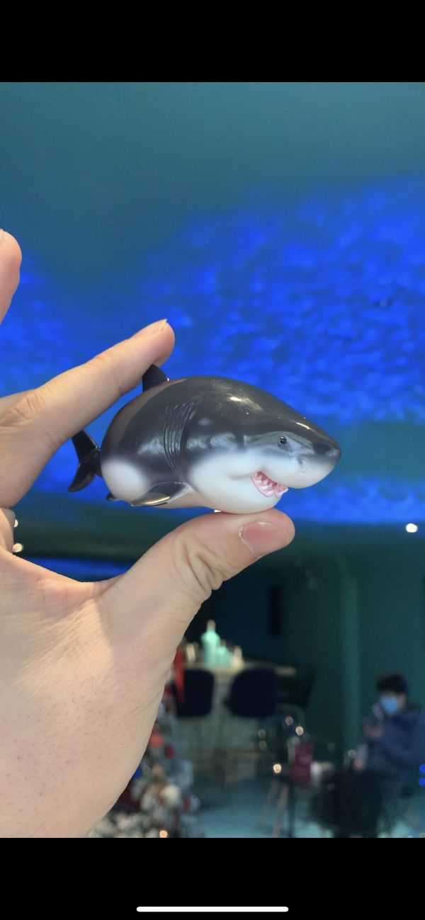 Laugh And Grow Fat Series - Ocean  Edition