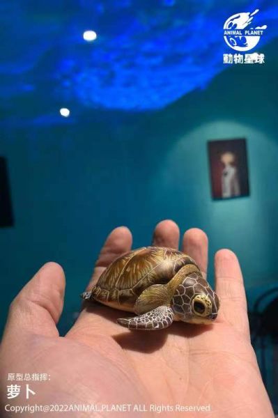 Laugh And Grow Fat Series - Ocean  Edition