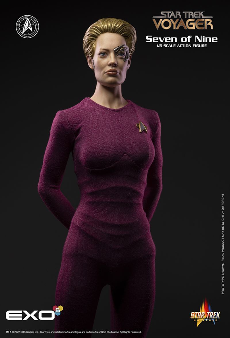 Seven of Nine 1/6