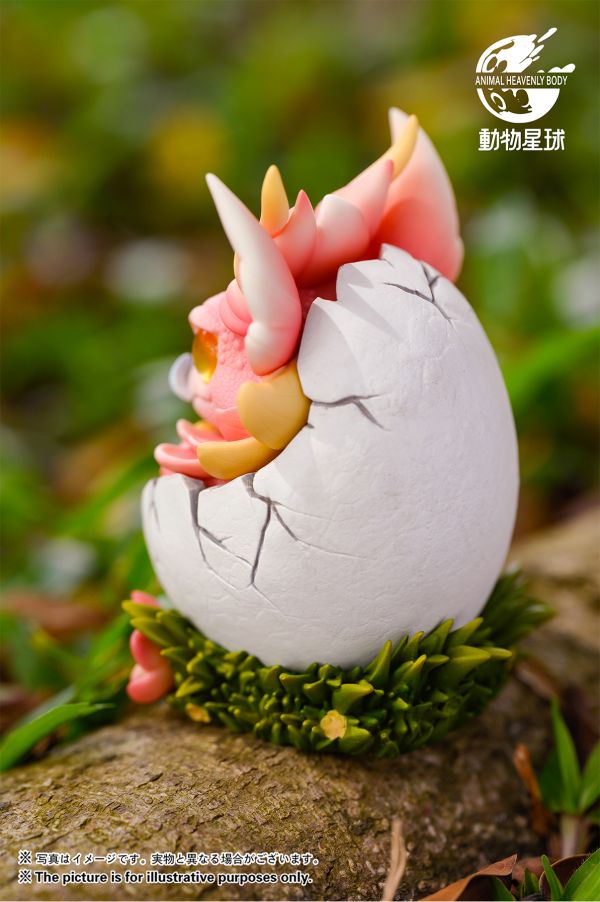Gecko Dragon Egg