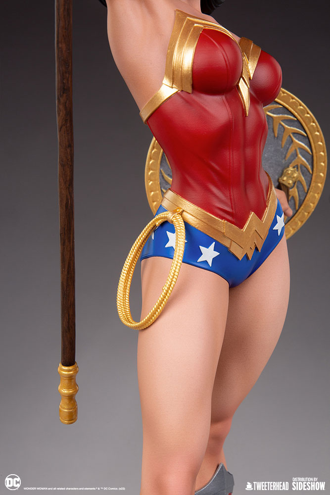 Wonder Woman 1/6 ~ 1/4
