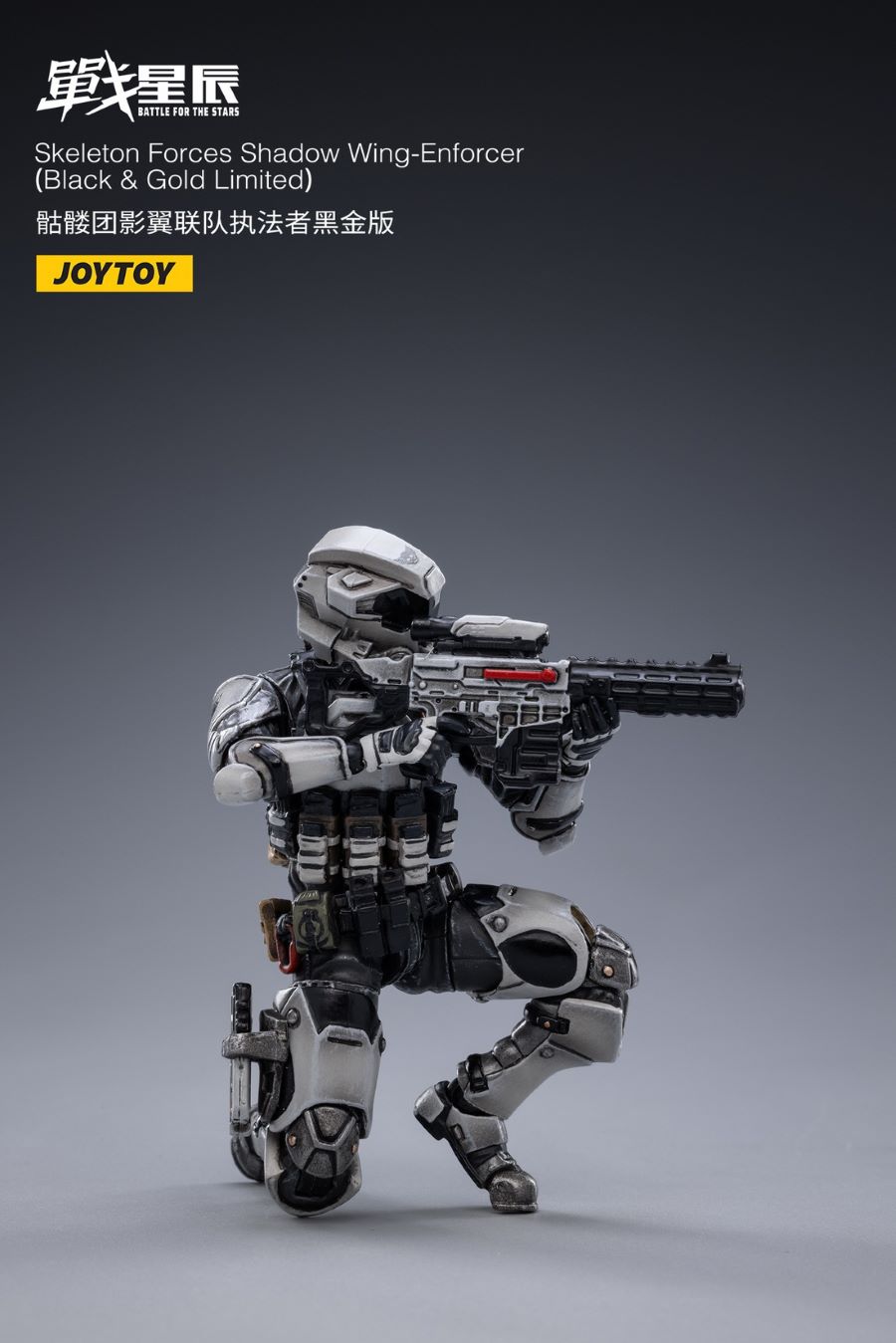 Skeleton Forces Shadow Wing Enforcer Black Gold Edition