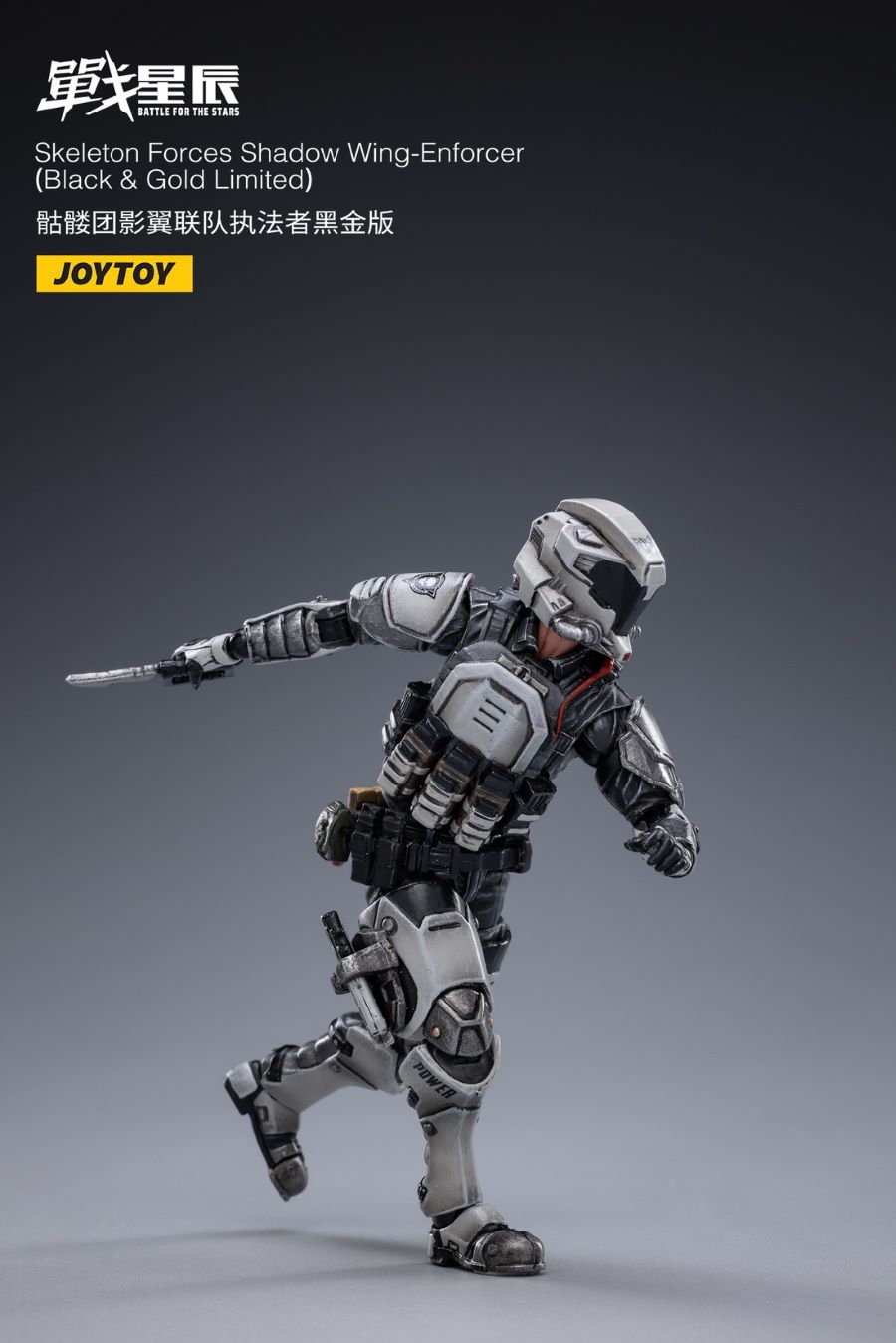 Skeleton Forces Shadow Wing Enforcer Black Gold Edition
