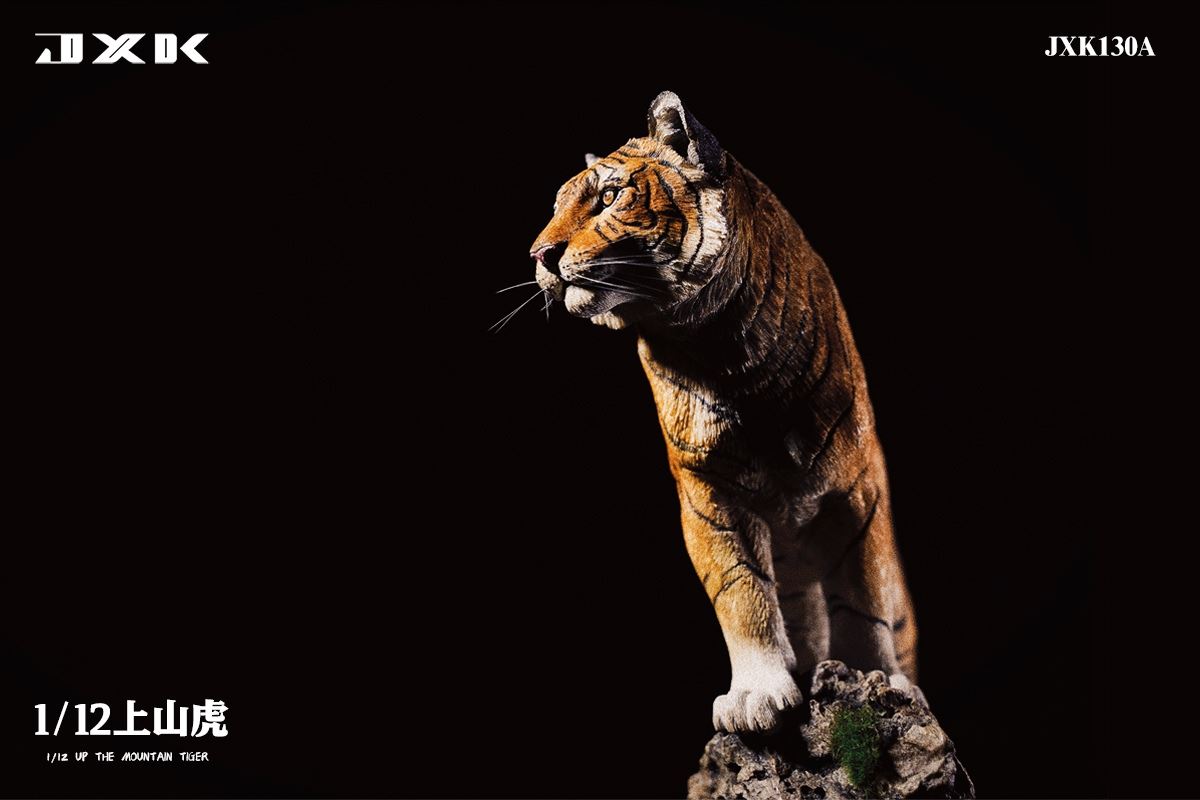 The Mountain Tiger 1/12