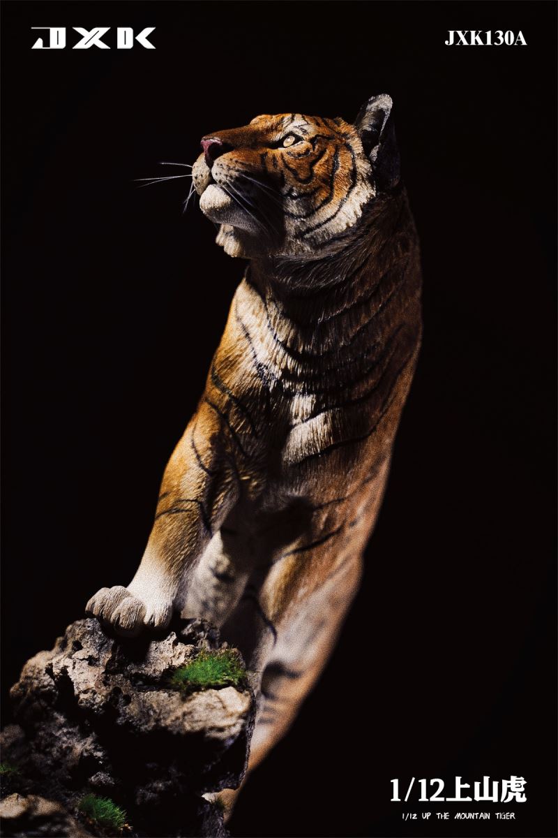 The Mountain Tiger 1/12