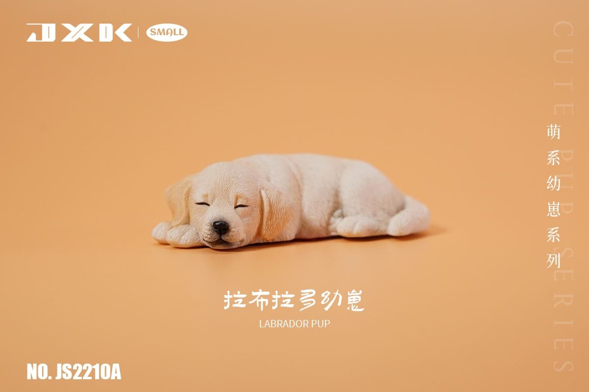 Golden Retriever / Husky / Labrador Cub