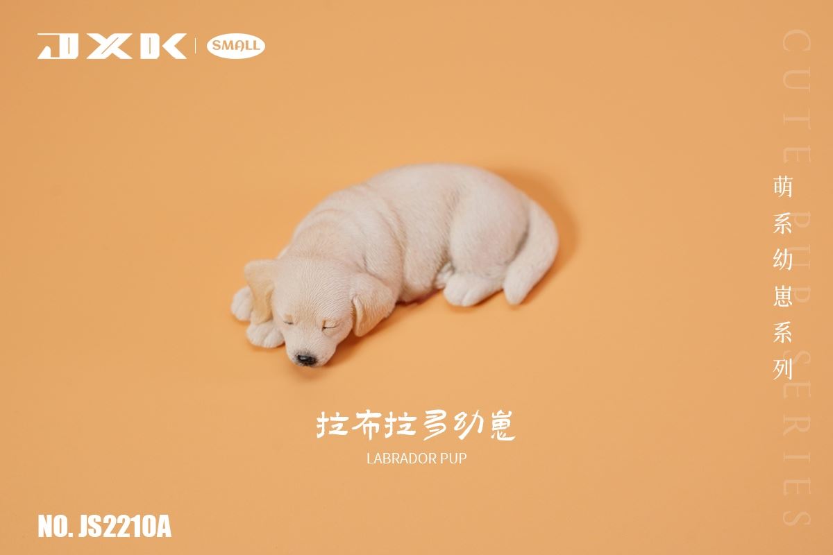 Golden Retriever / Husky / Labrador Cub