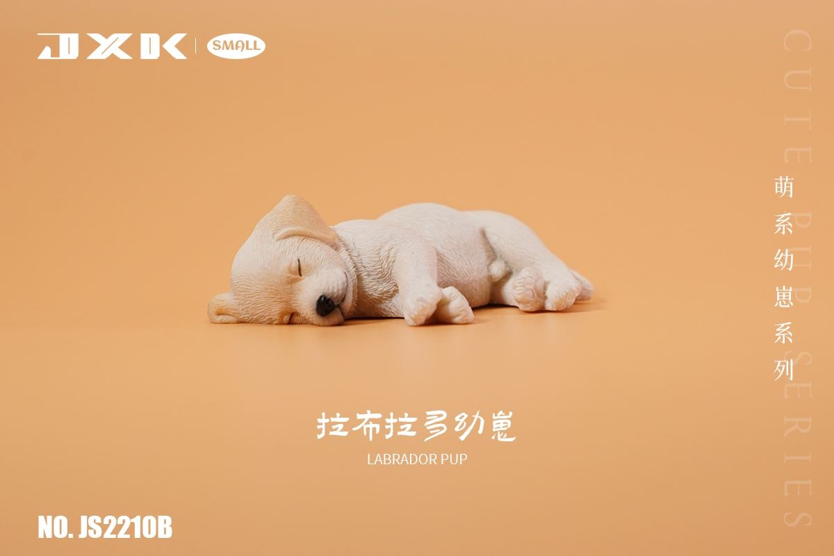Golden Retriever / Husky / Labrador Cub