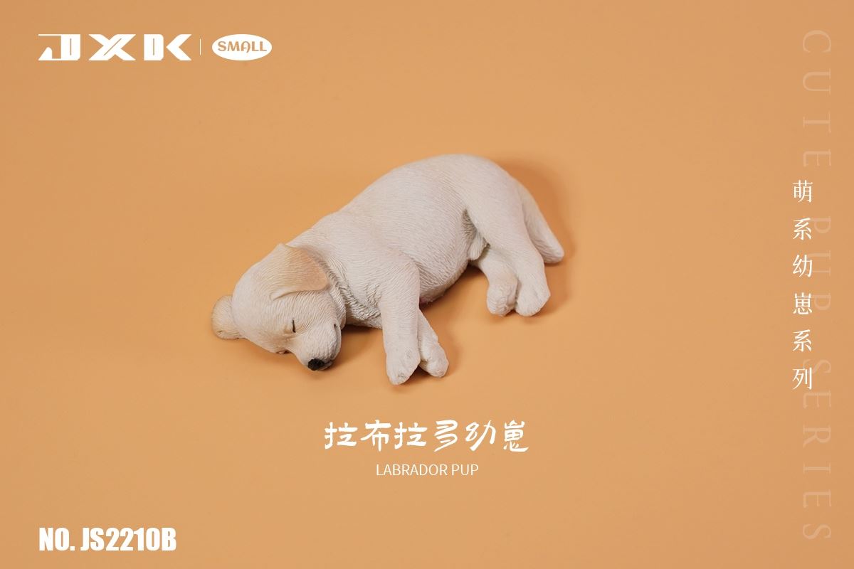 Golden Retriever / Husky / Labrador Cub