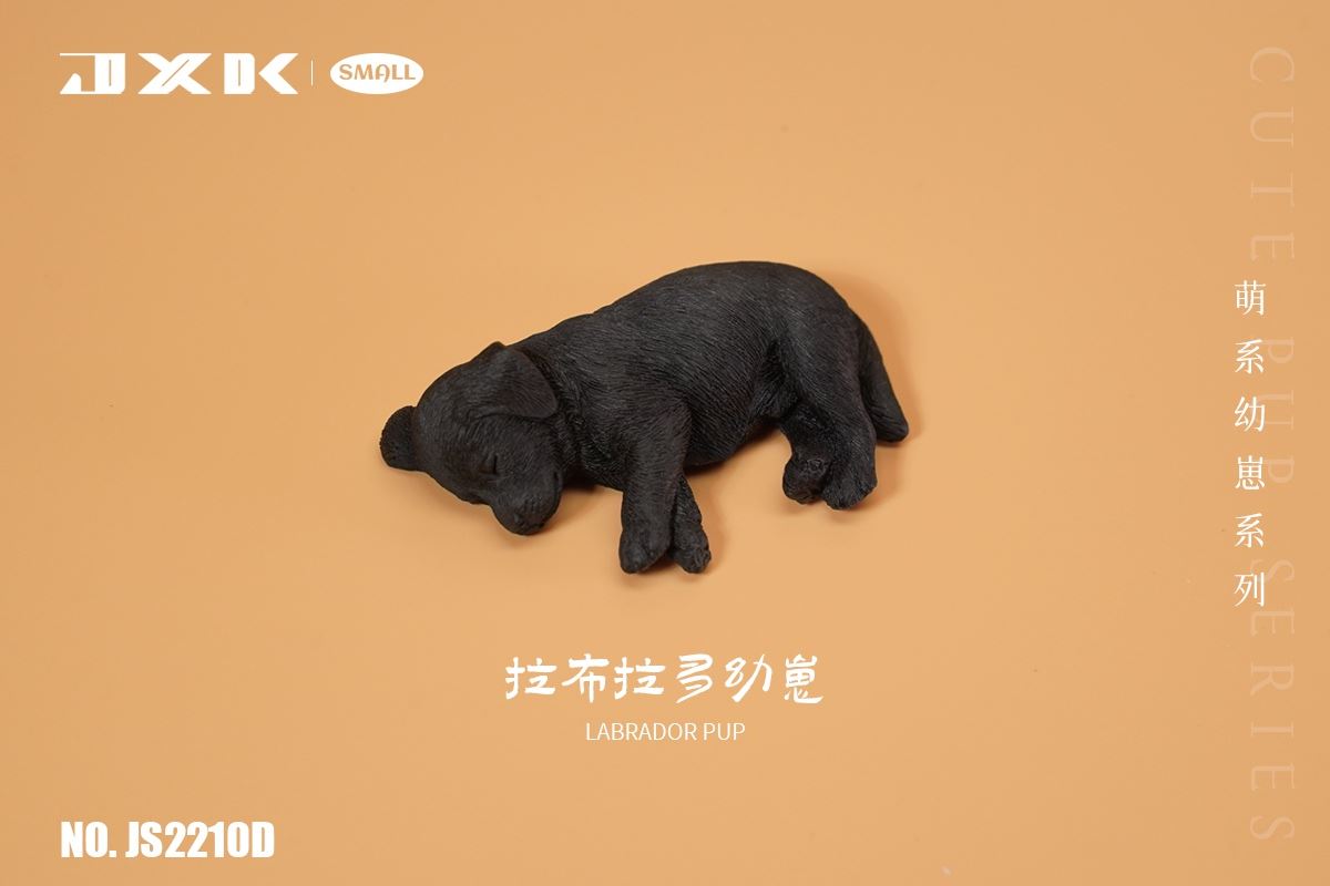 Golden Retriever / Husky / Labrador Cub