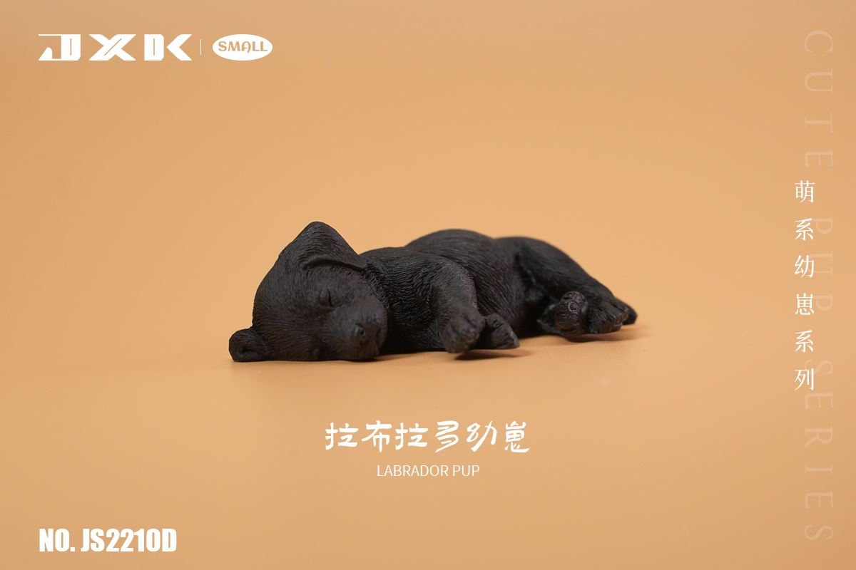 Golden Retriever / Husky / Labrador Cub