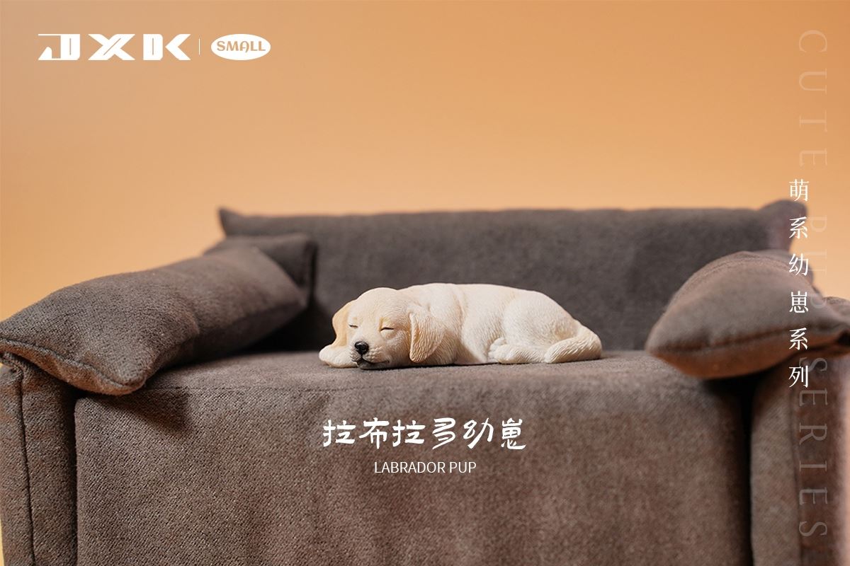 Golden Retriever / Husky / Labrador Cub