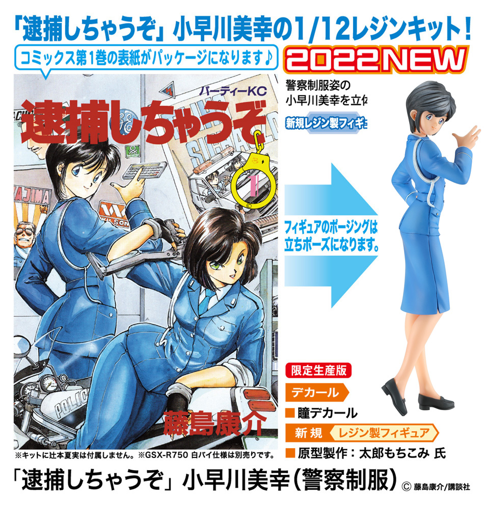 You're Under Arrest Miyuki Kobayakawa (Police Uniform)