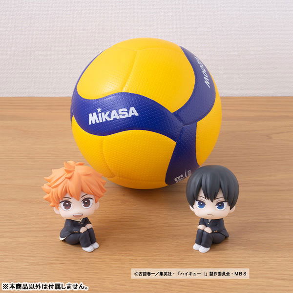 LookUp Haikyuu!! Shoyo Hinata & Tobio Kageyama
