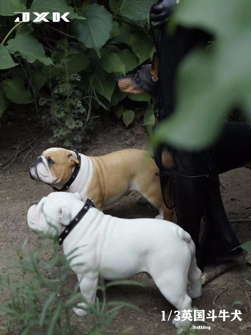 English Bulldog (X32203) 1/3