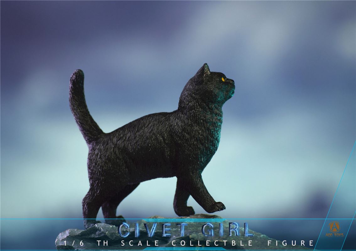 CIVET GIRL 1/6