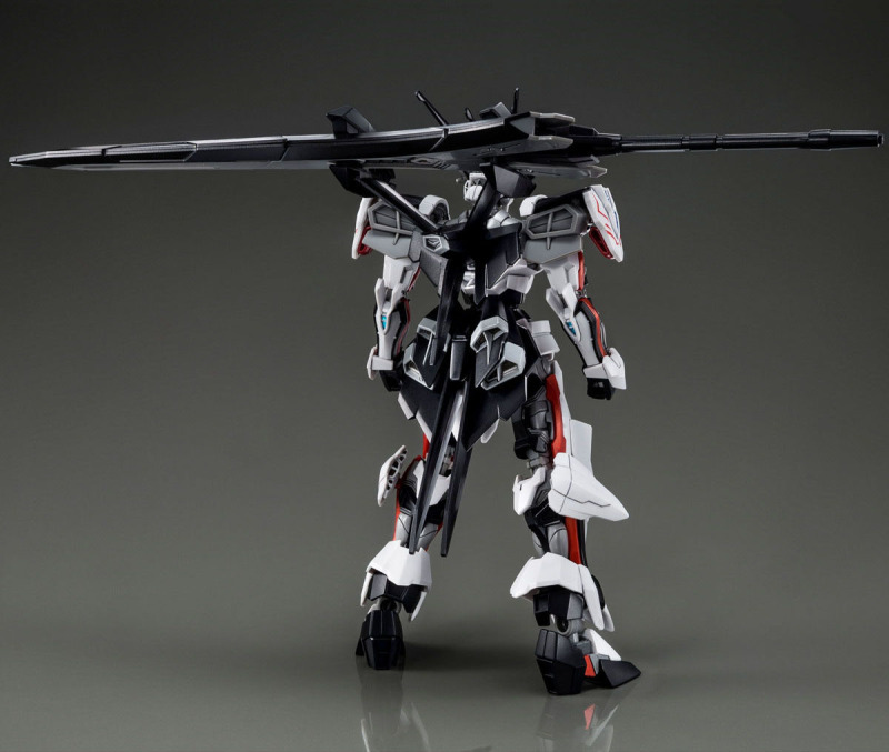 HG 1/144 LOAD ASTRAY Ω
