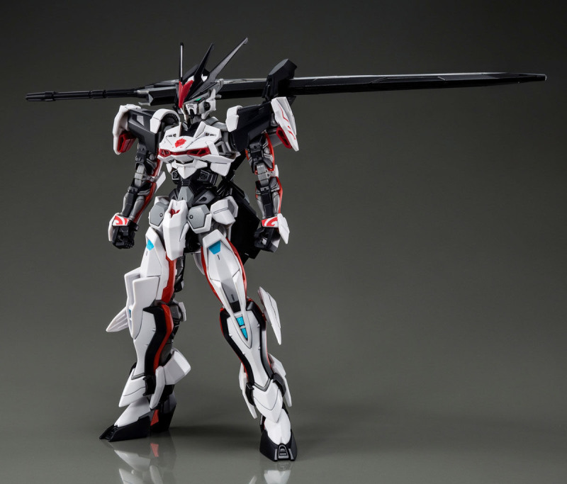 HG 1/144 LOAD ASTRAY Ω