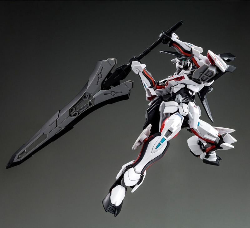 HG 1/144 LOAD ASTRAY Ω