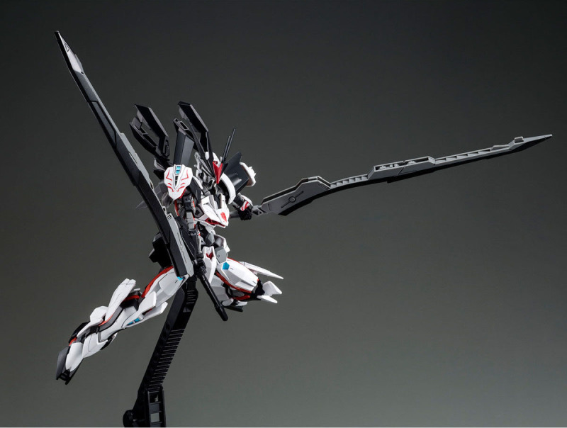 HG 1/144 LOAD ASTRAY Ω