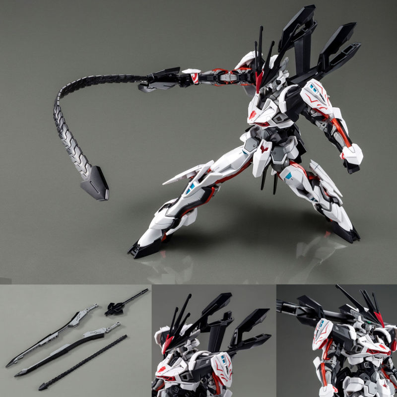 HG 1/144 LOAD ASTRAY Ω