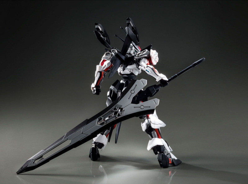 HG 1/144 LOAD ASTRAY Ω