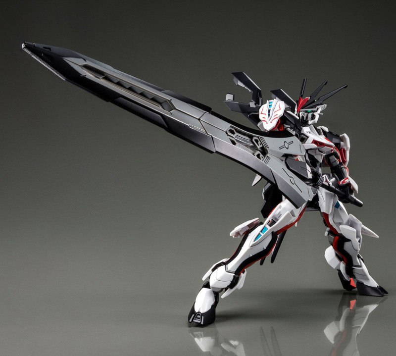 HG 1/144 LOAD ASTRAY Ω