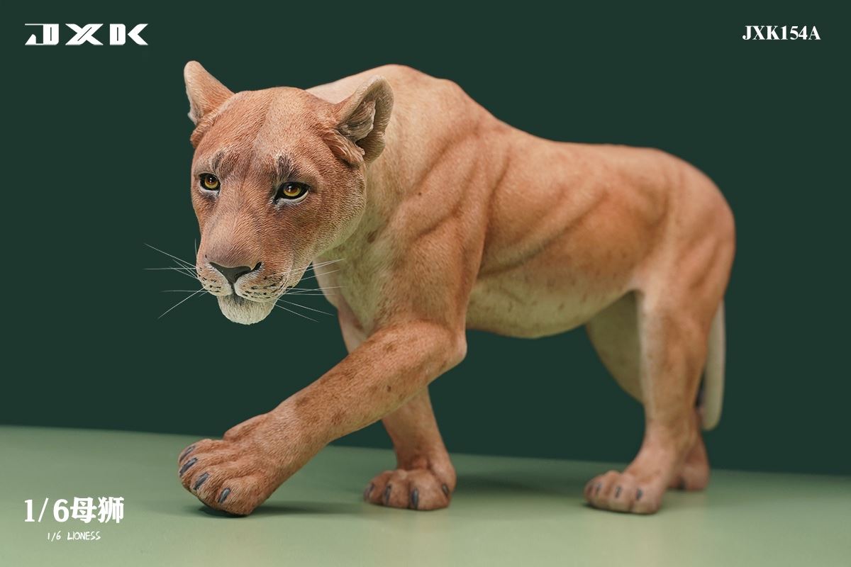 Lioness 1/6