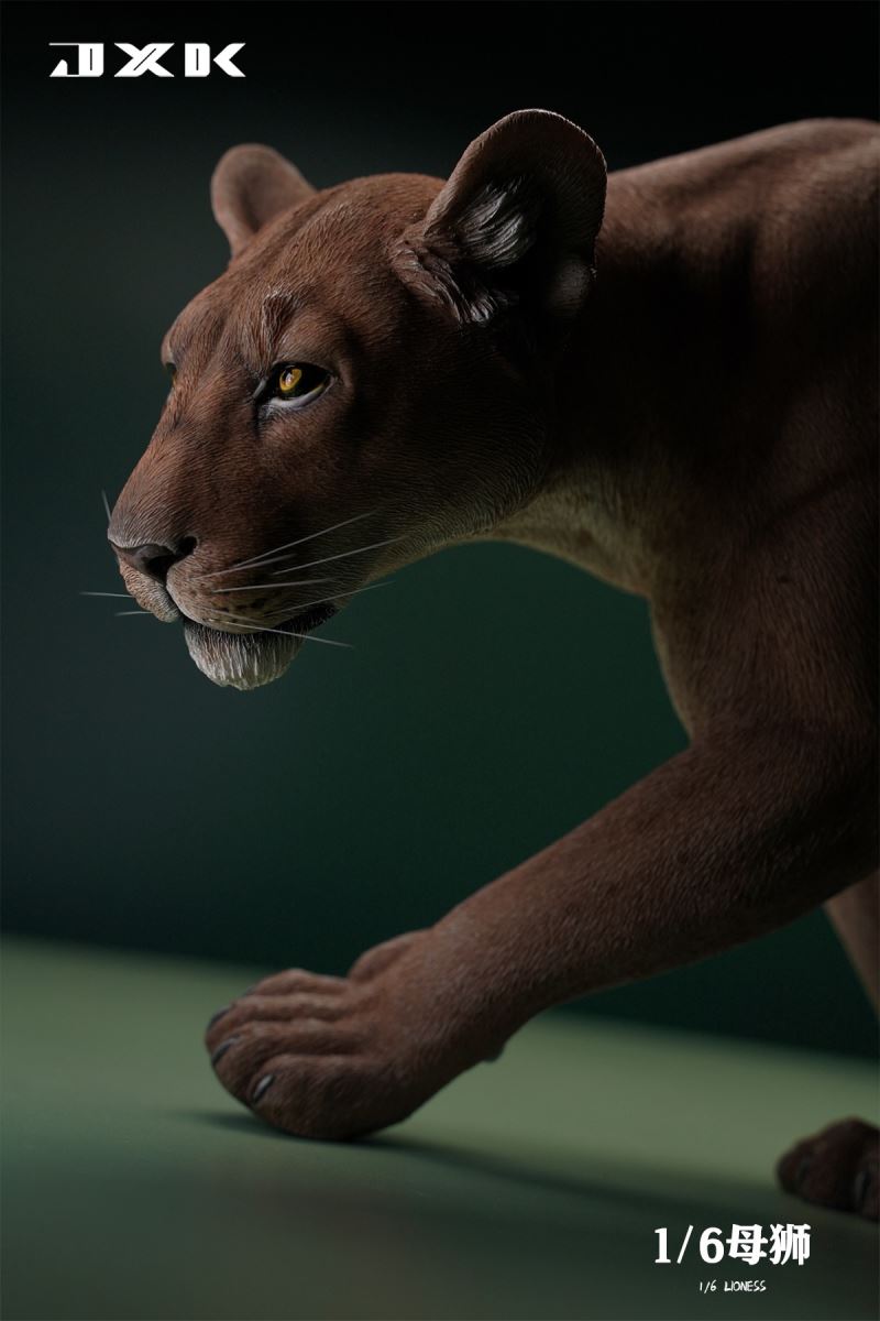 Lioness 1/6