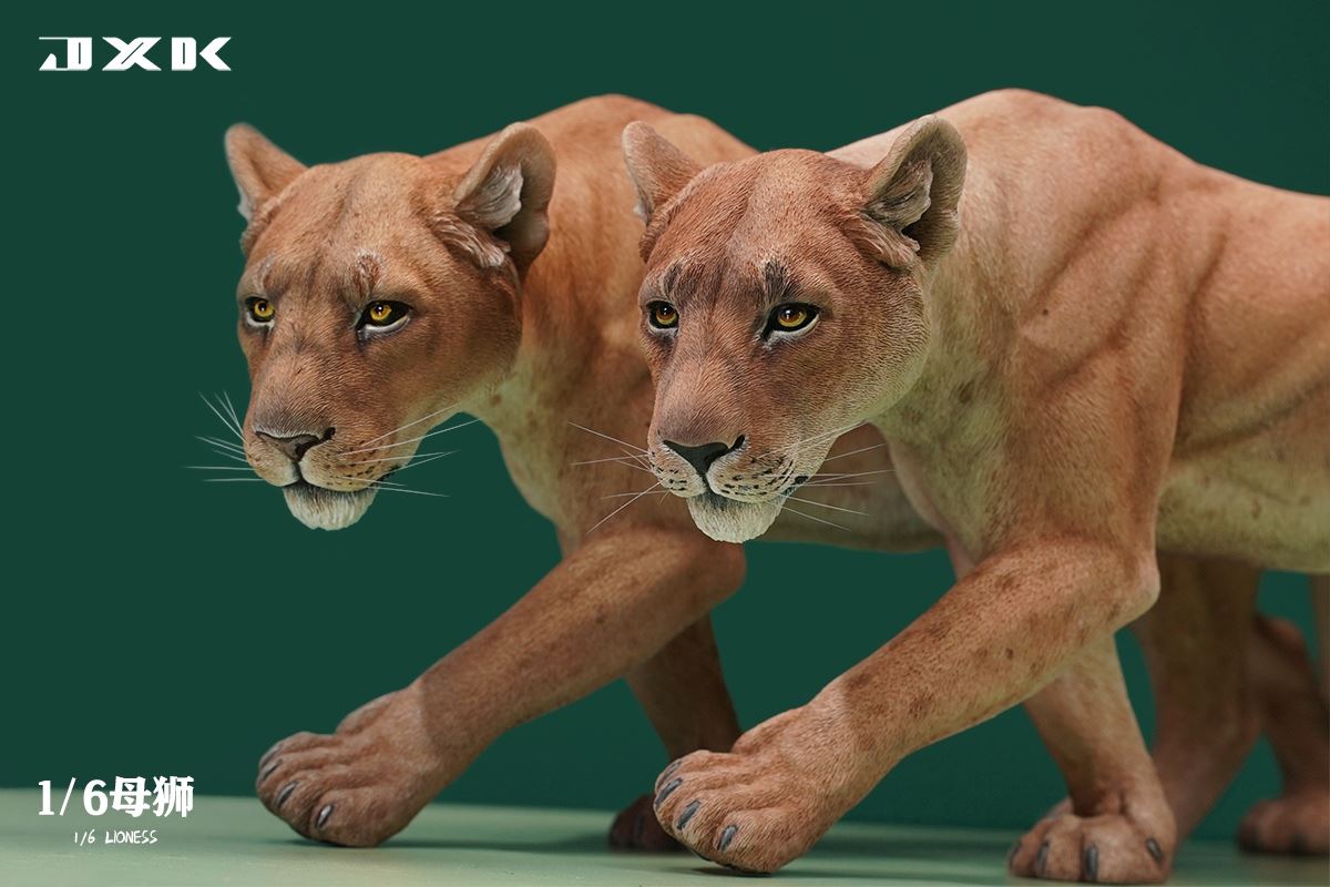 Lioness 1/6