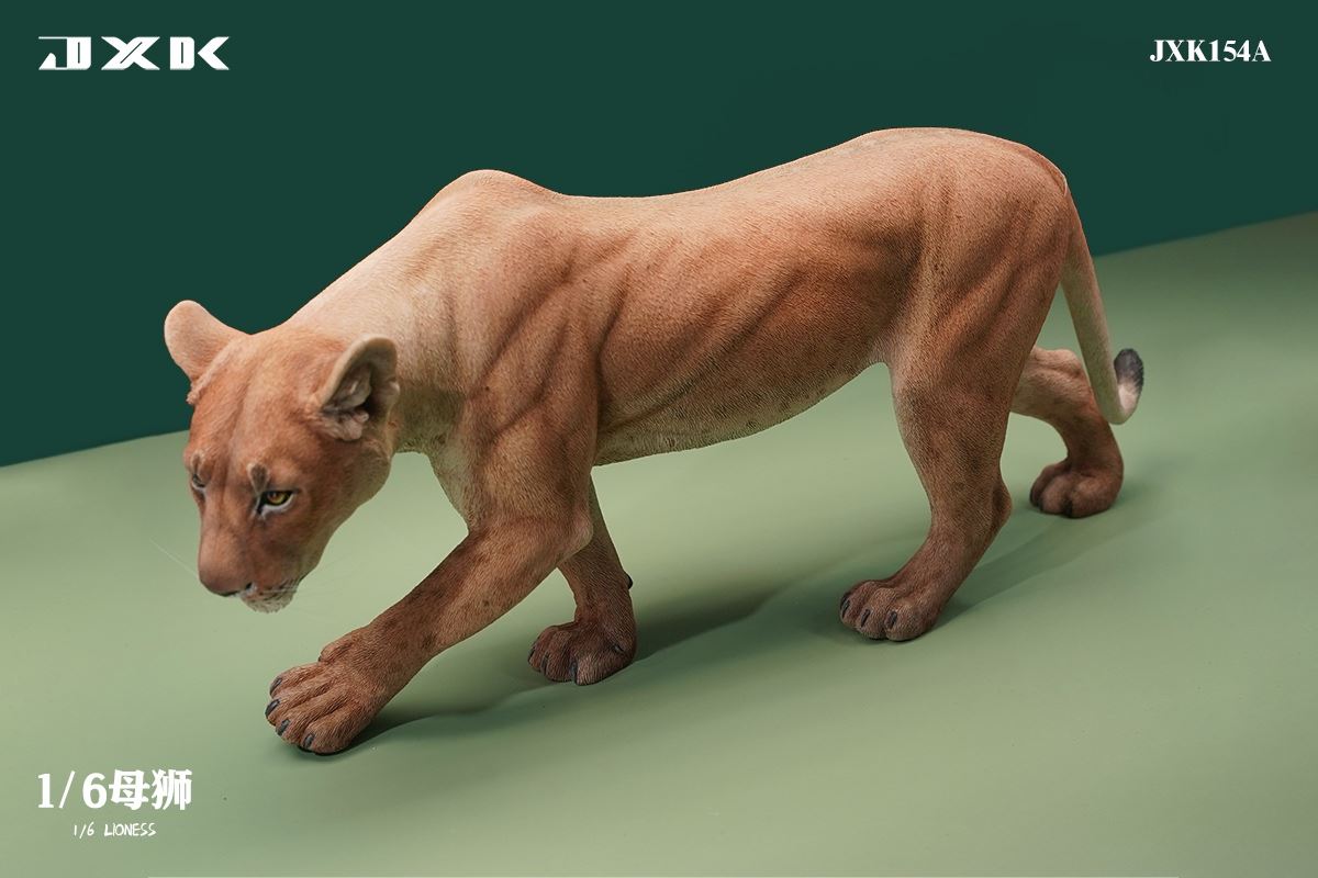 Lioness 1/6
