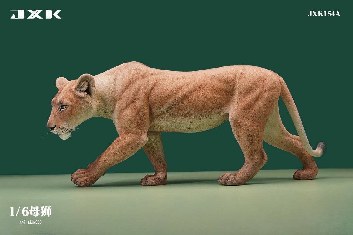 Lioness 1/6