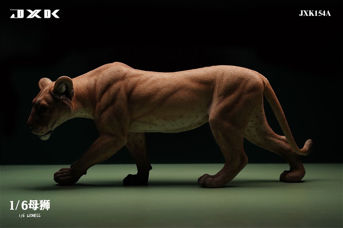Lioness 1/6