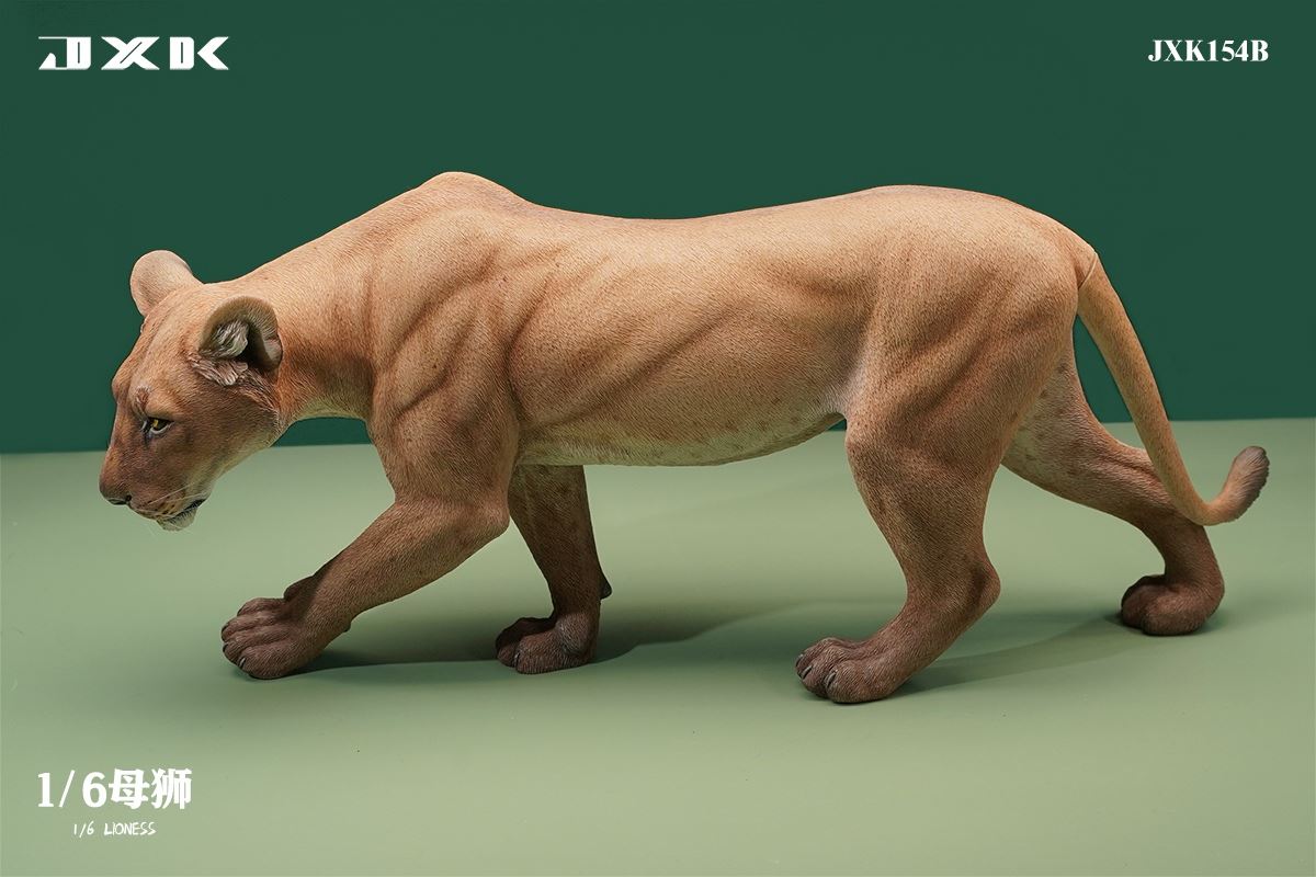 Lioness 1/6
