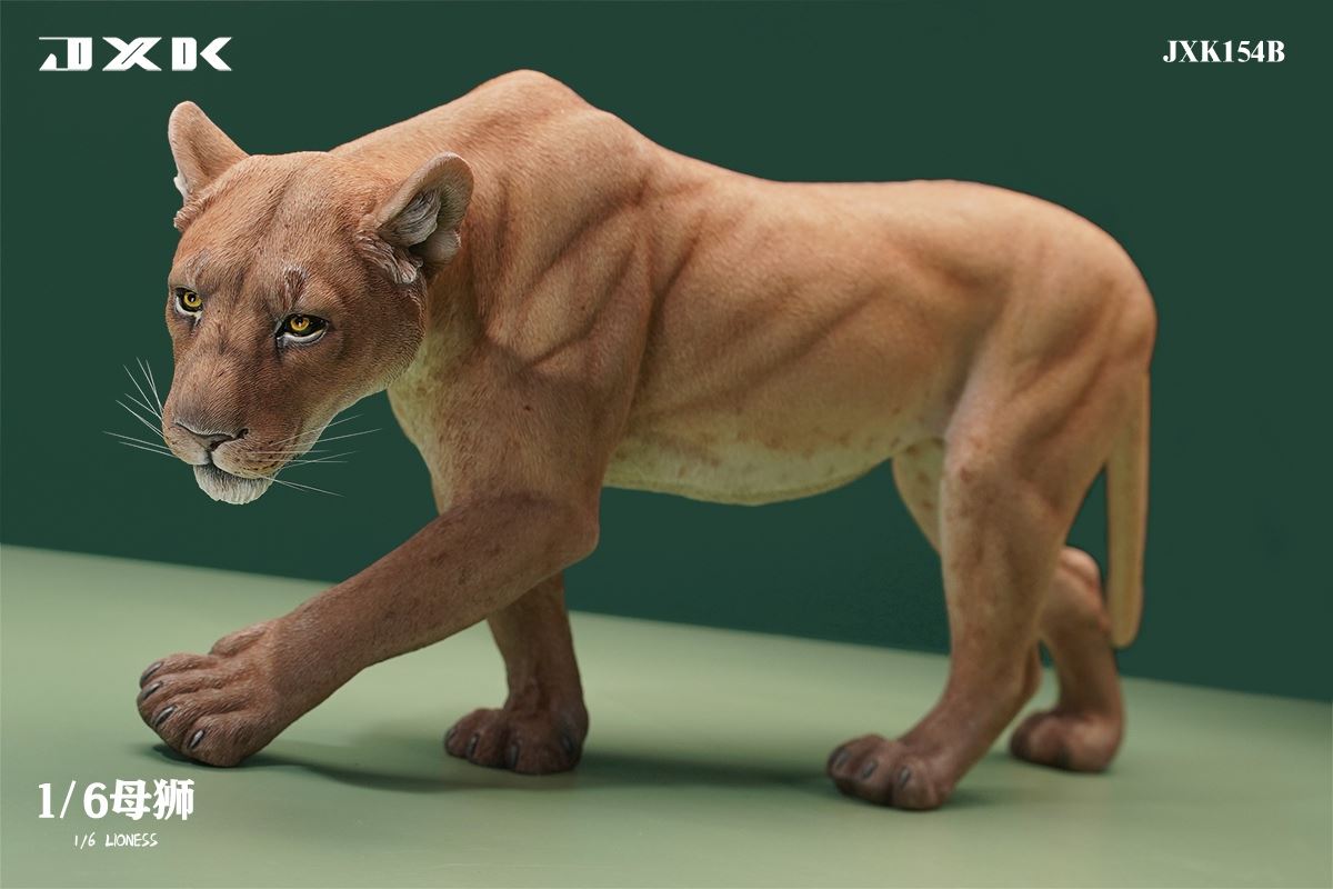 Lioness 1/6