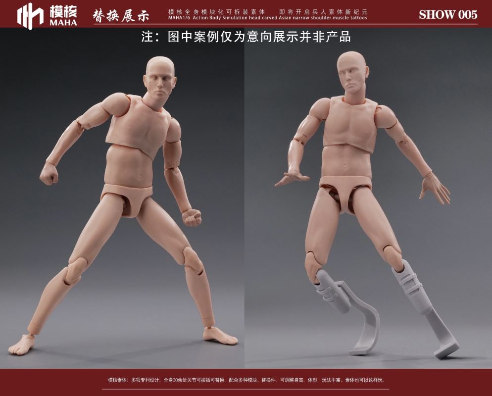 Modular male body and one-piece arm accessory package 1/6