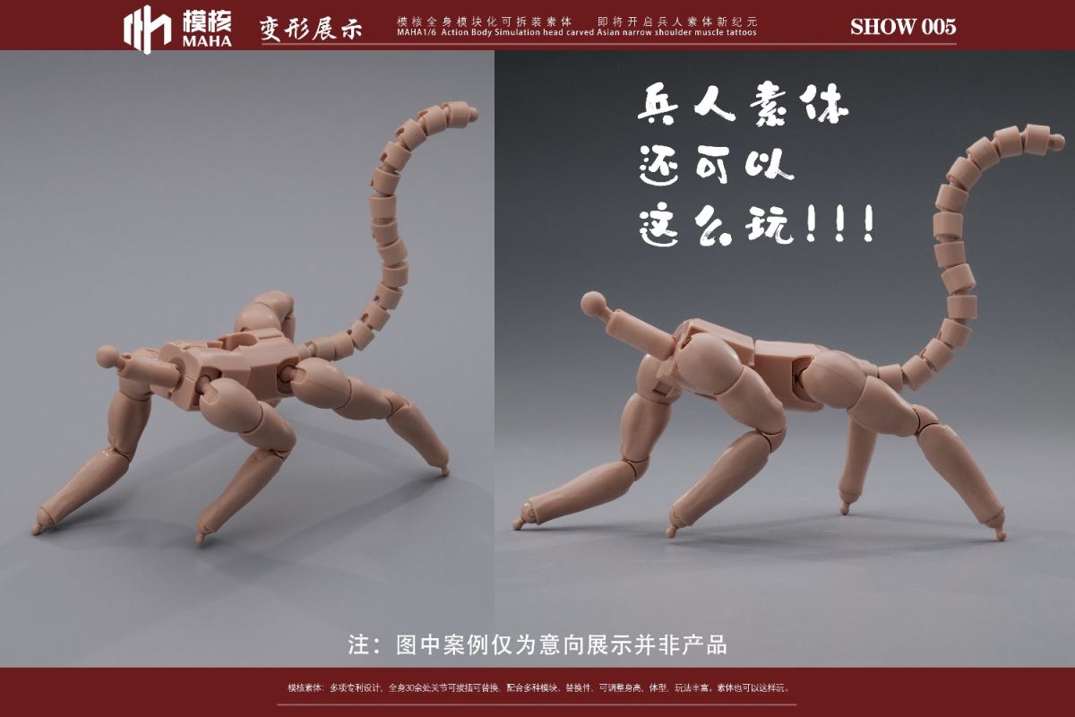 Modular male body and one-piece arm accessory package 1/6