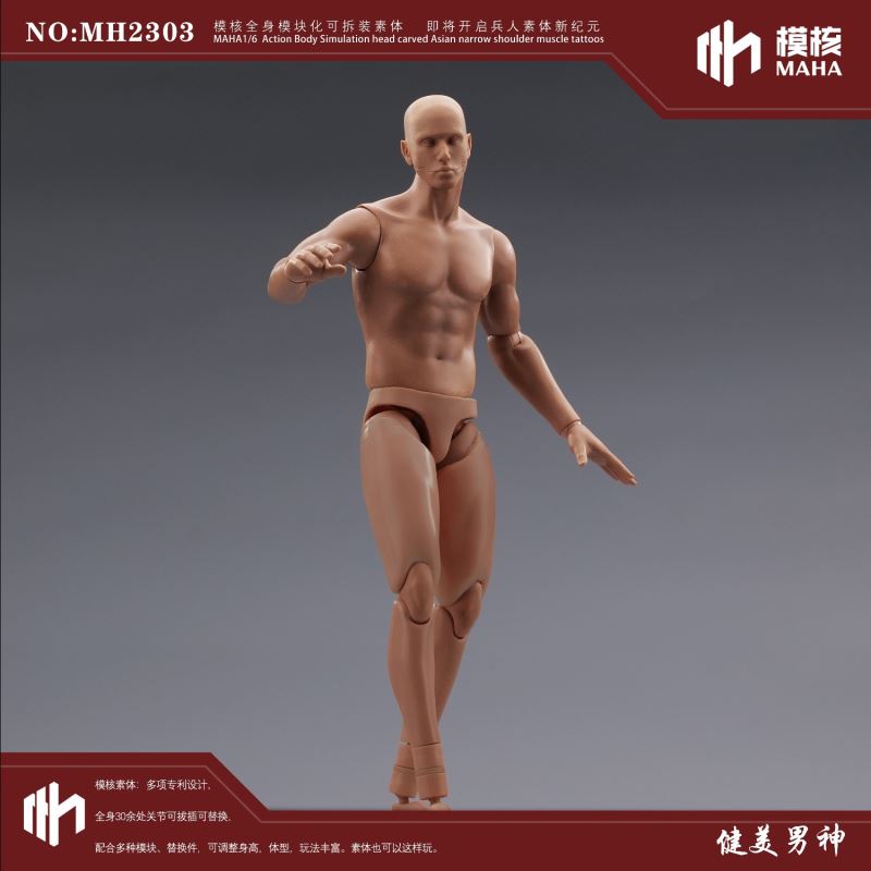 Modular male body and one-piece arm accessory package 1/6