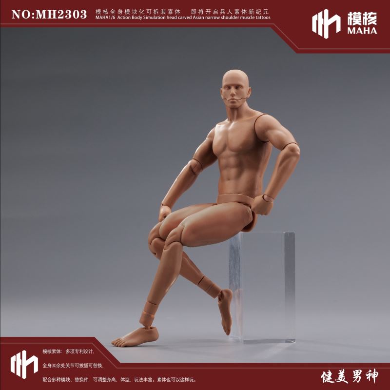 Modular male body and one-piece arm accessory package 1/6