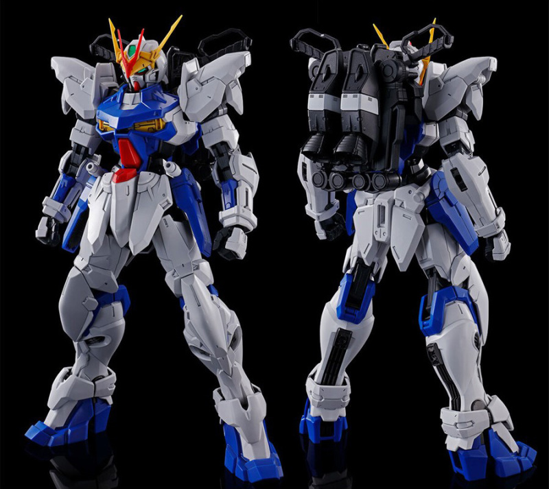 MG 1/100 Gundam Astray Outframe D