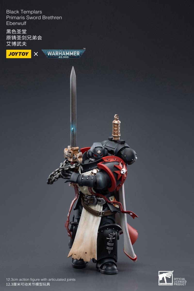 Black Templar 1/18