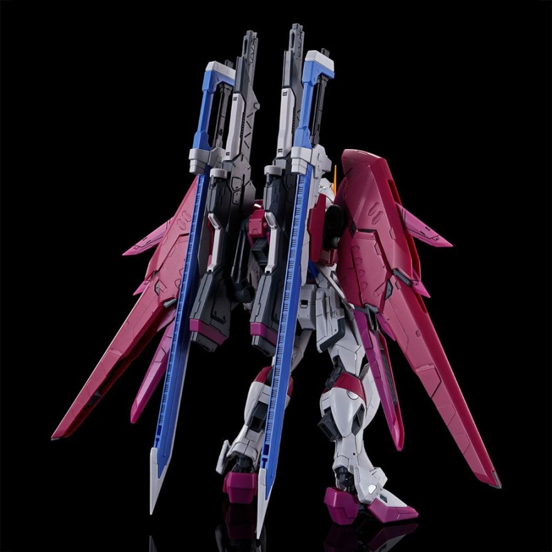 RG 1/144 Destiny Pulse Gundam