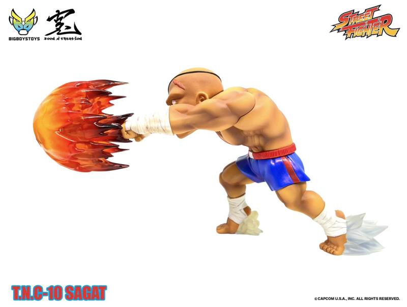 Street Fighter TNC-10 (The New Challenger) Sagat