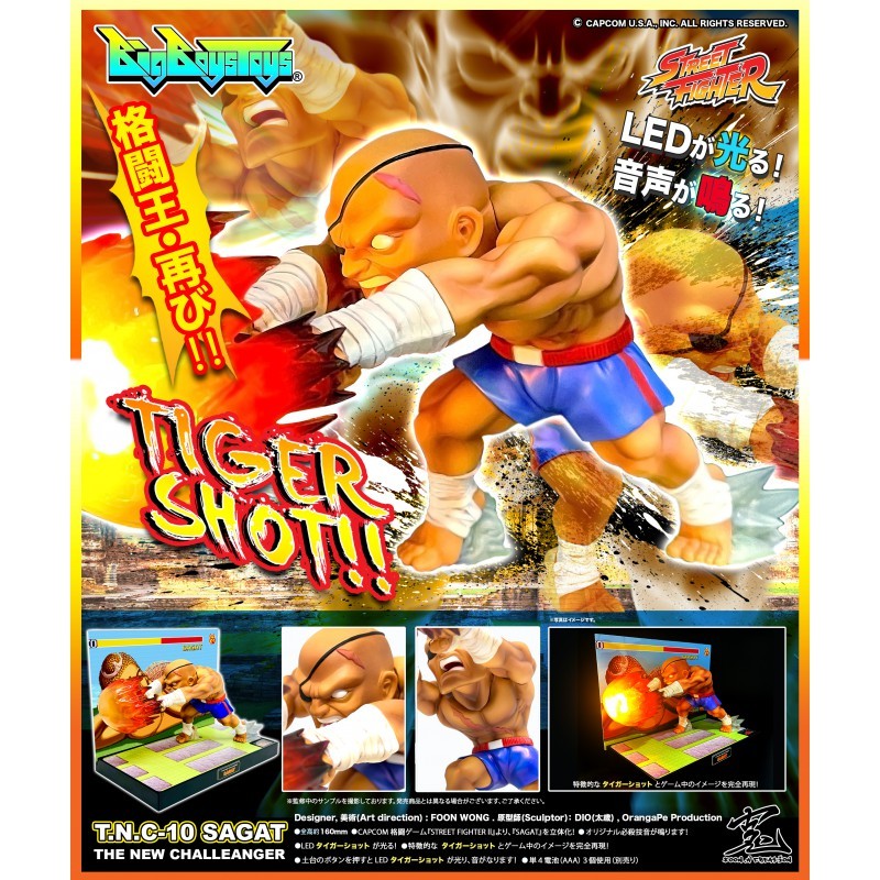 Street Fighter TNC-10 (The New Challenger) Sagat