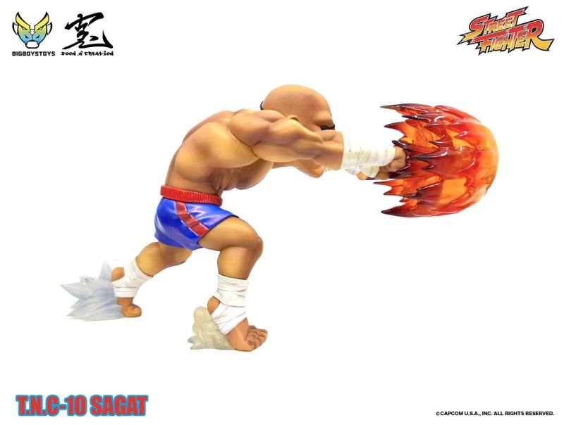 Street Fighter TNC-10 (The New Challenger) Sagat