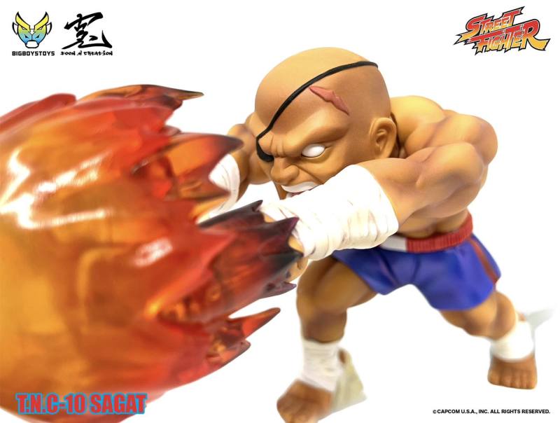 Street Fighter TNC-10 (The New Challenger) Sagat