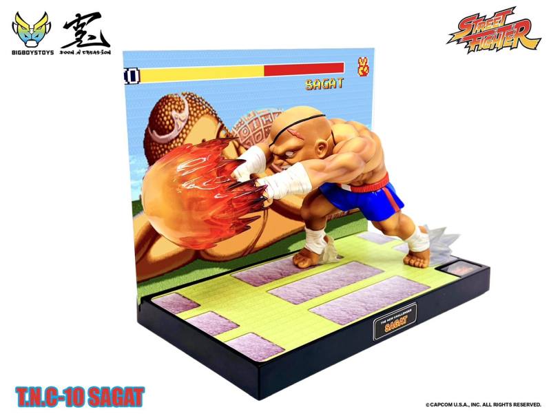 Street Fighter TNC-10 (The New Challenger) Sagat