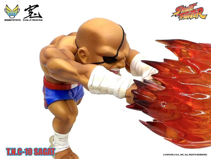 Street Fighter TNC-10 (The New Challenger) Sagat
